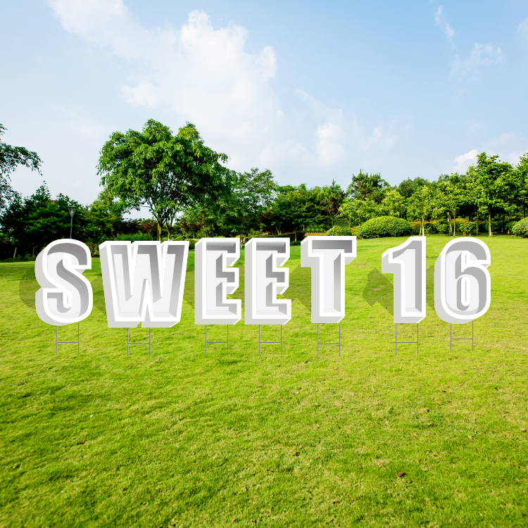 19" SWEET 16 SHADOW BOX LETTERS
